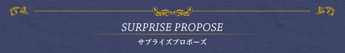 SURPRISE PROPOSE サプライズプロポーズ