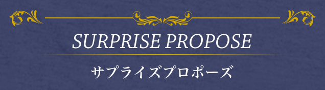 SURPRISE PROPOSE サプライズプロポーズ